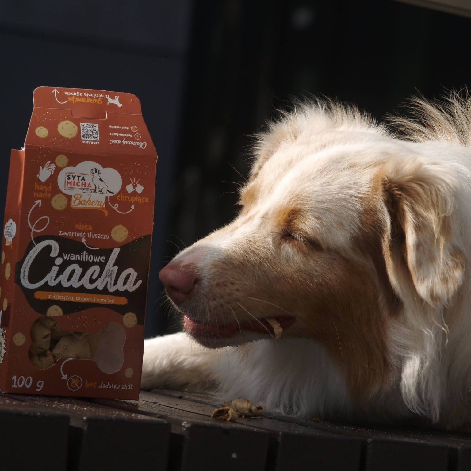 Naturalne ciastka dla psa – dlaczego warto wybierać wypiekane smakołyki z linii Bakery?