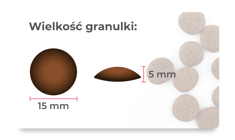 PRÓBKA Crocchette per cani Salmone, pastinaca e fragola 60g