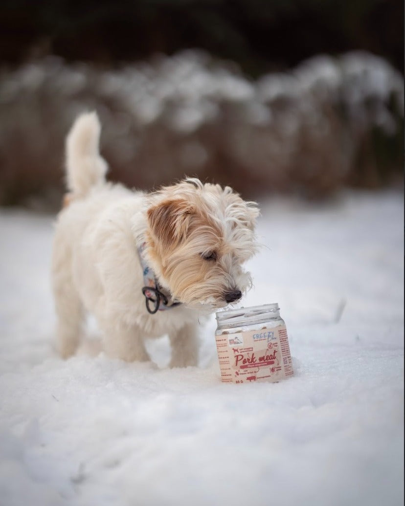 Kompleksowa ochrona psich łap: Sól, lód i chemia