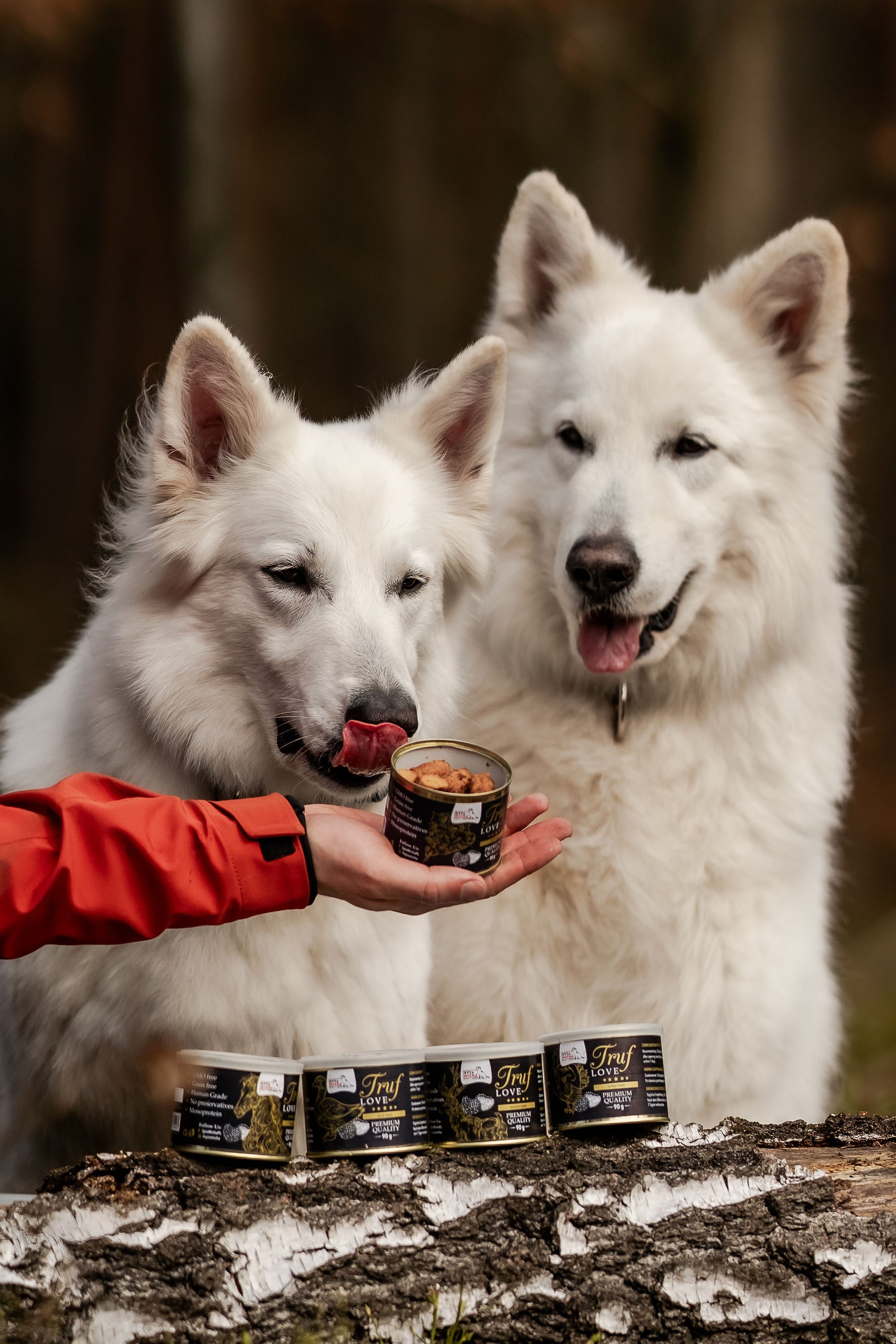 Przewodnik po Zdrowych Przekąskach Dla Psów