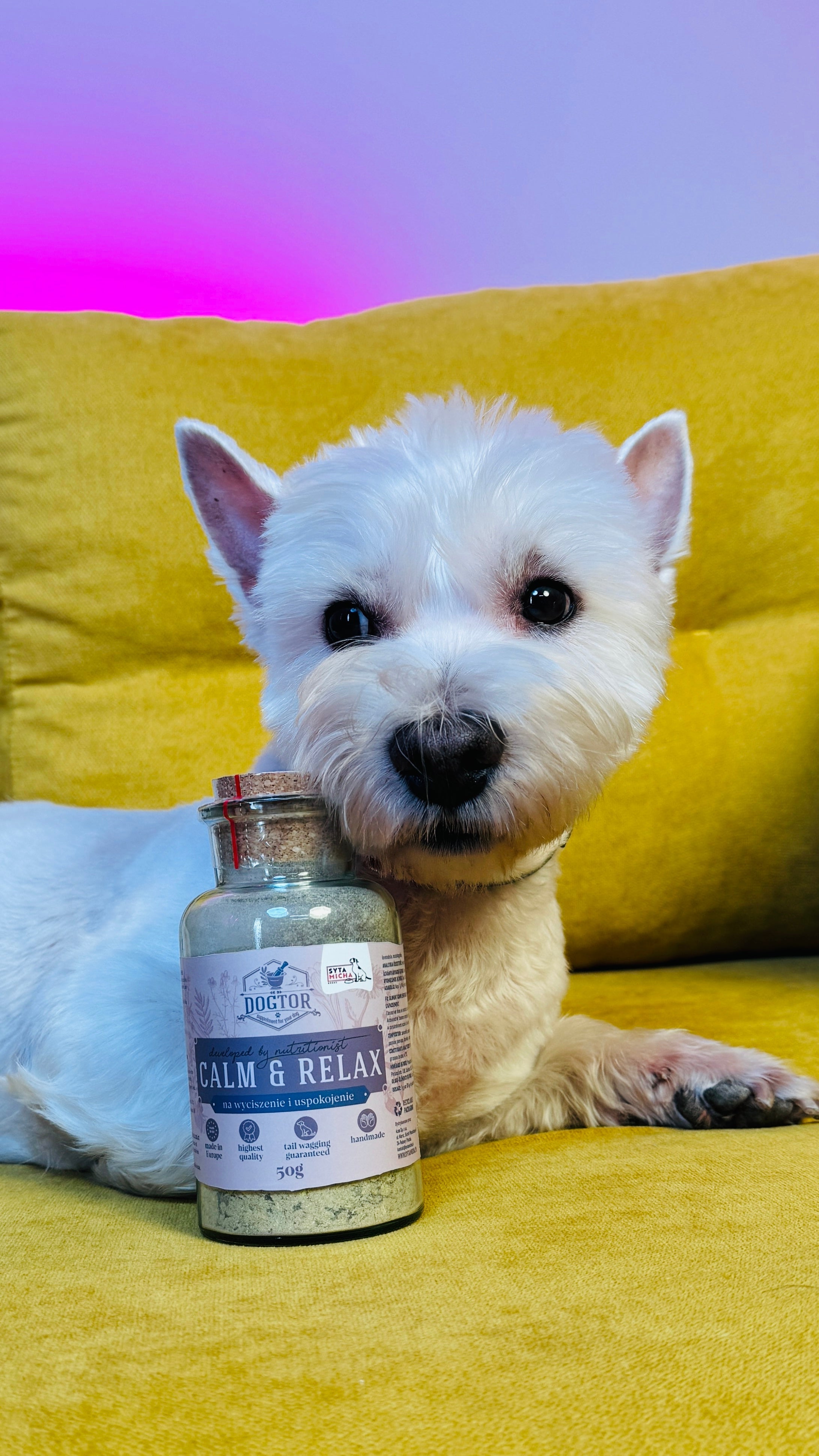 Dobór suplementów DOGTOR do problemu: stres, stawy, trawienie, skóra – Twój przewodnik po naturalnym wsparciu