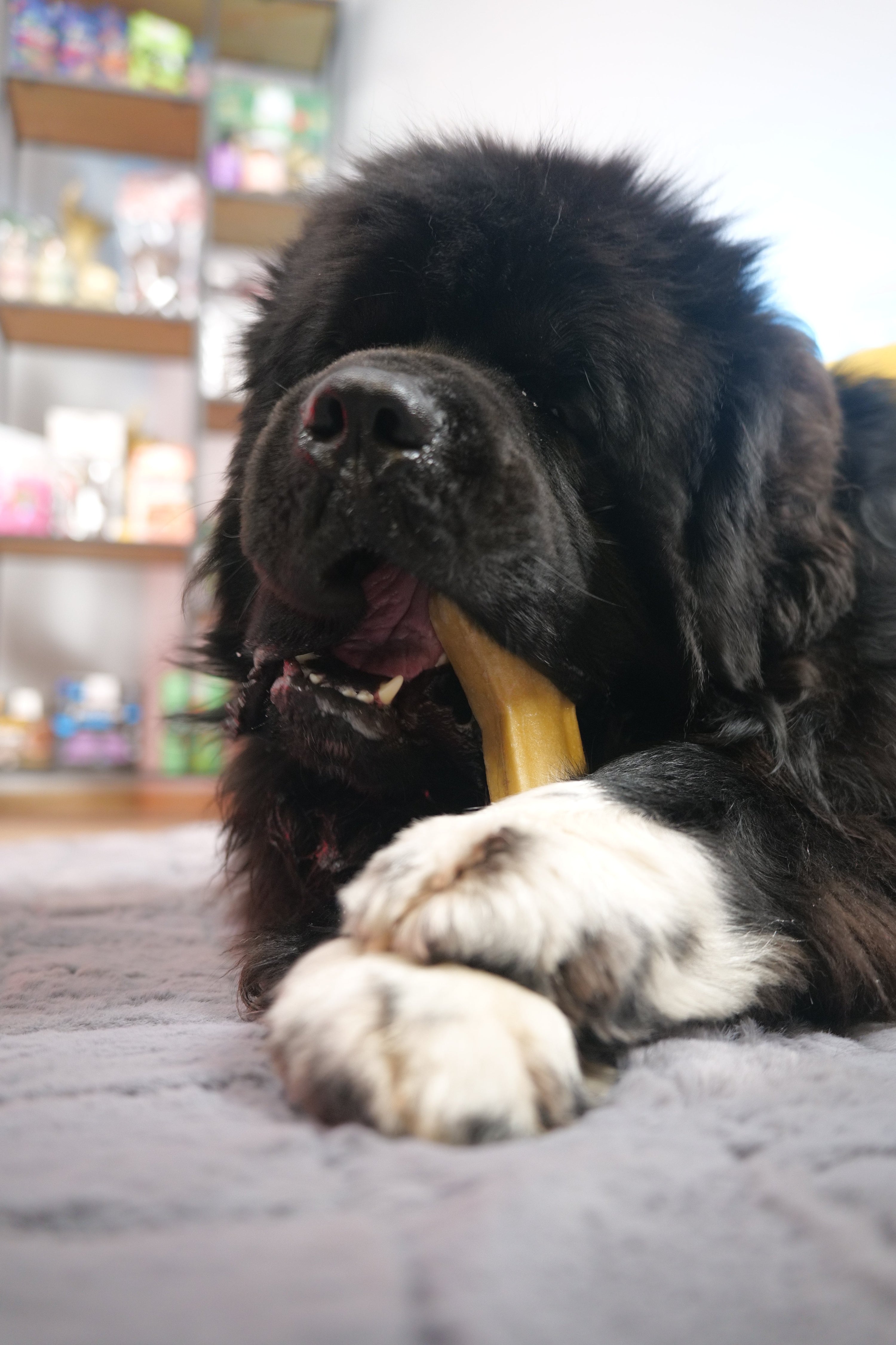 Niewidoczni wrogowie: Suche powietrze, chemia i hipotermia