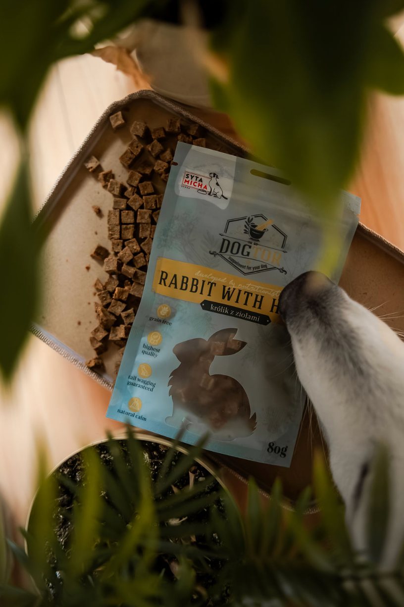 Jak wliczyć przysmaki w dietę psa? Praktyczny przewodnik dla właścicieli psów aktywnych